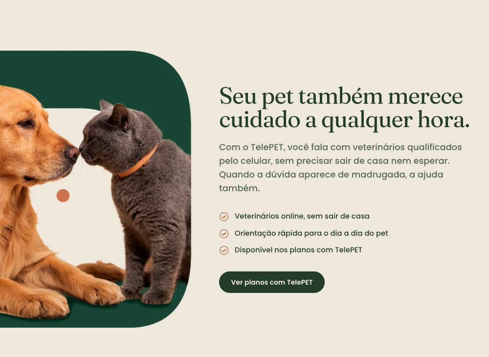 O pet é da família — captura do site da Vynora