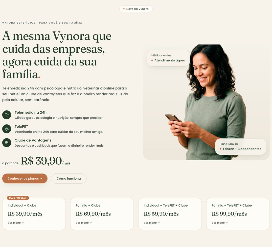 A ponte entre as portas — captura do site da Vynora